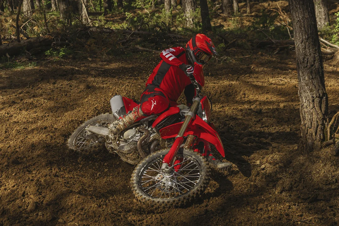 Desmo450 EDS 17