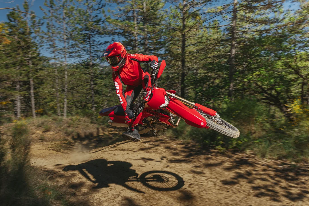 Desmo450 EDS 19